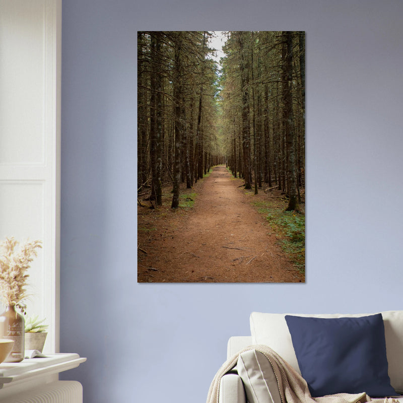 Parc du Bic, la forêt dorée — tirage aluminium 60 × 90 cm accroché au mur