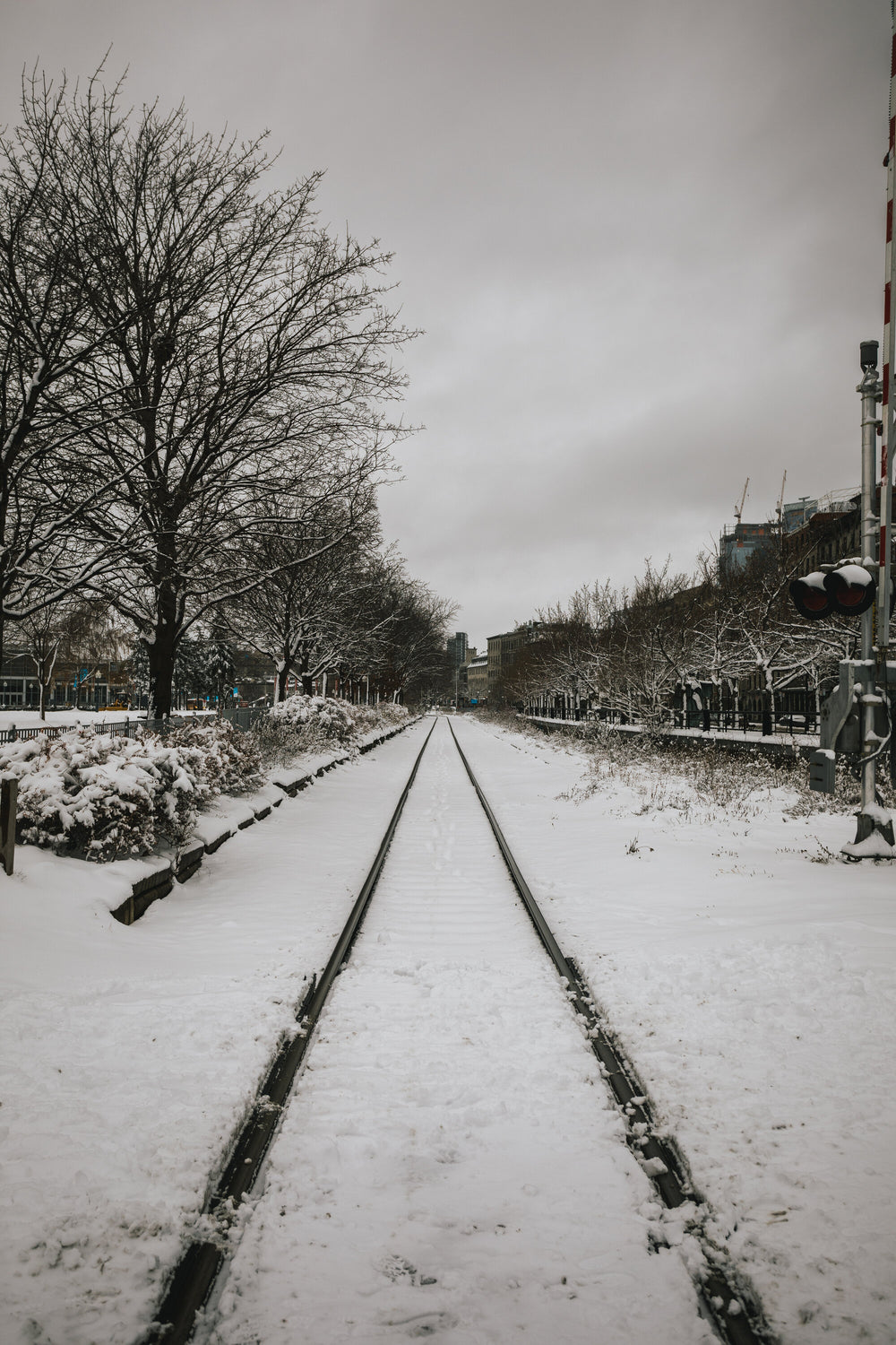 Photographie