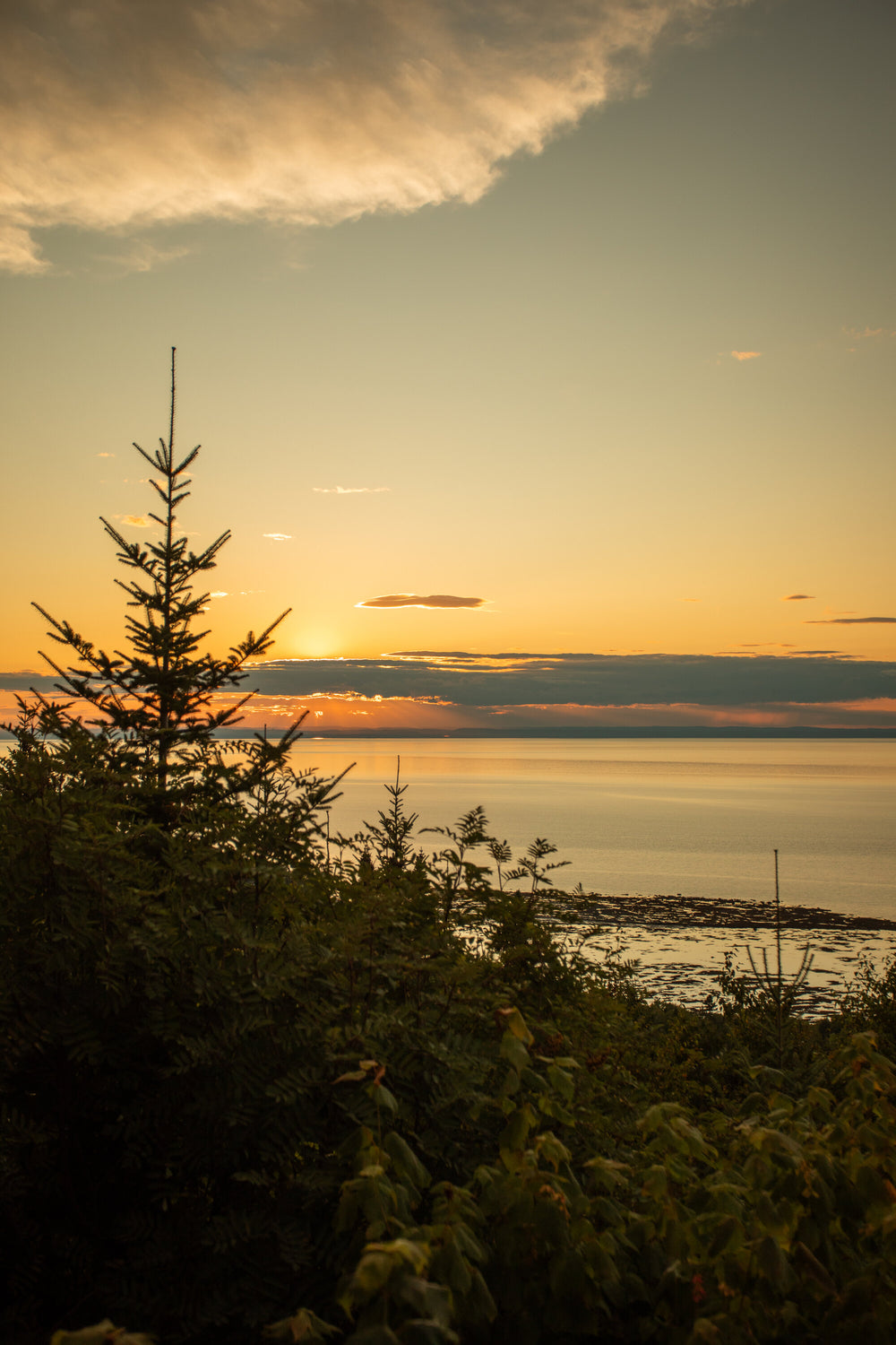 Photographie