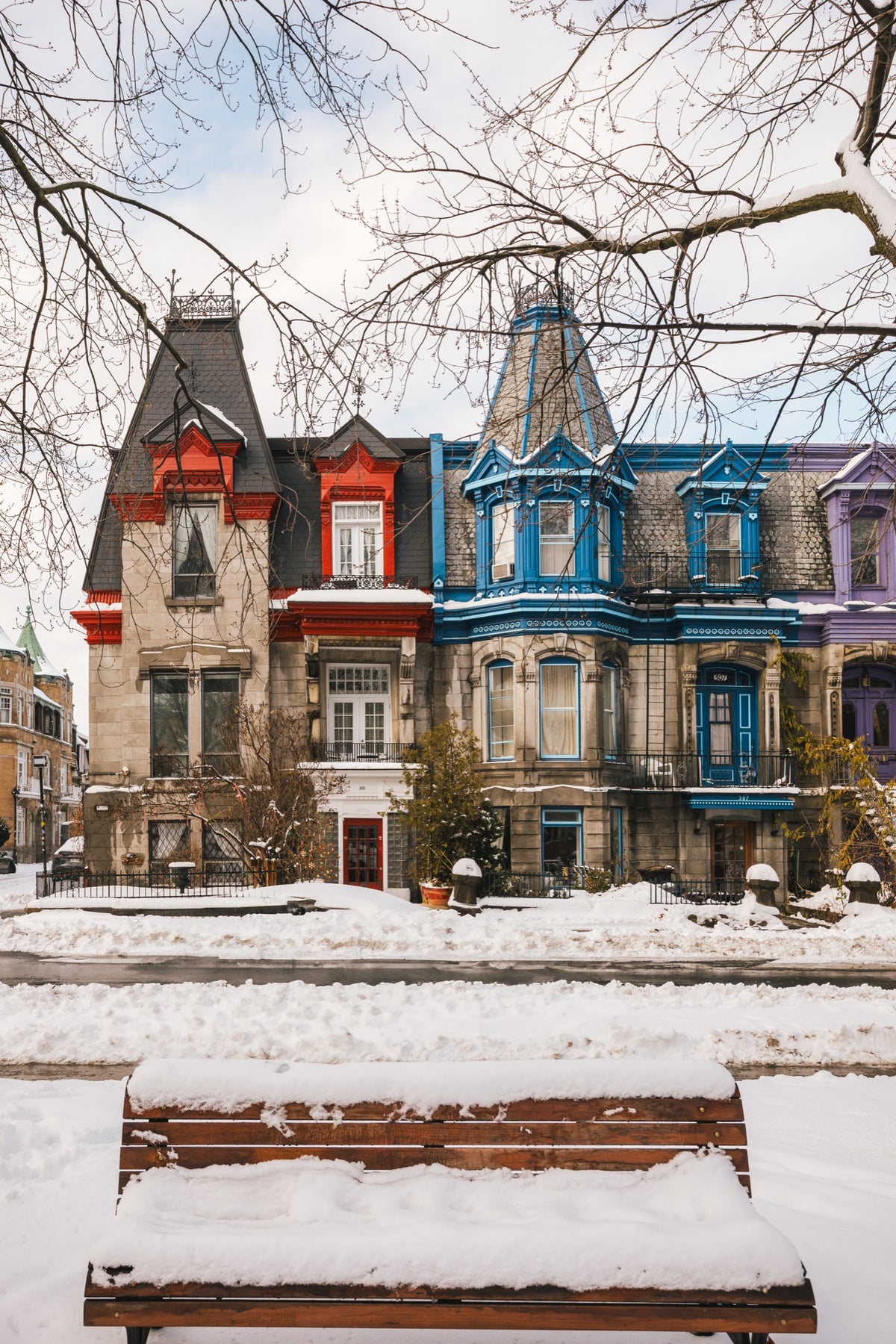 Square Saint-Louis, les couleurs de l'hiver — tirage photographique Luw Editions